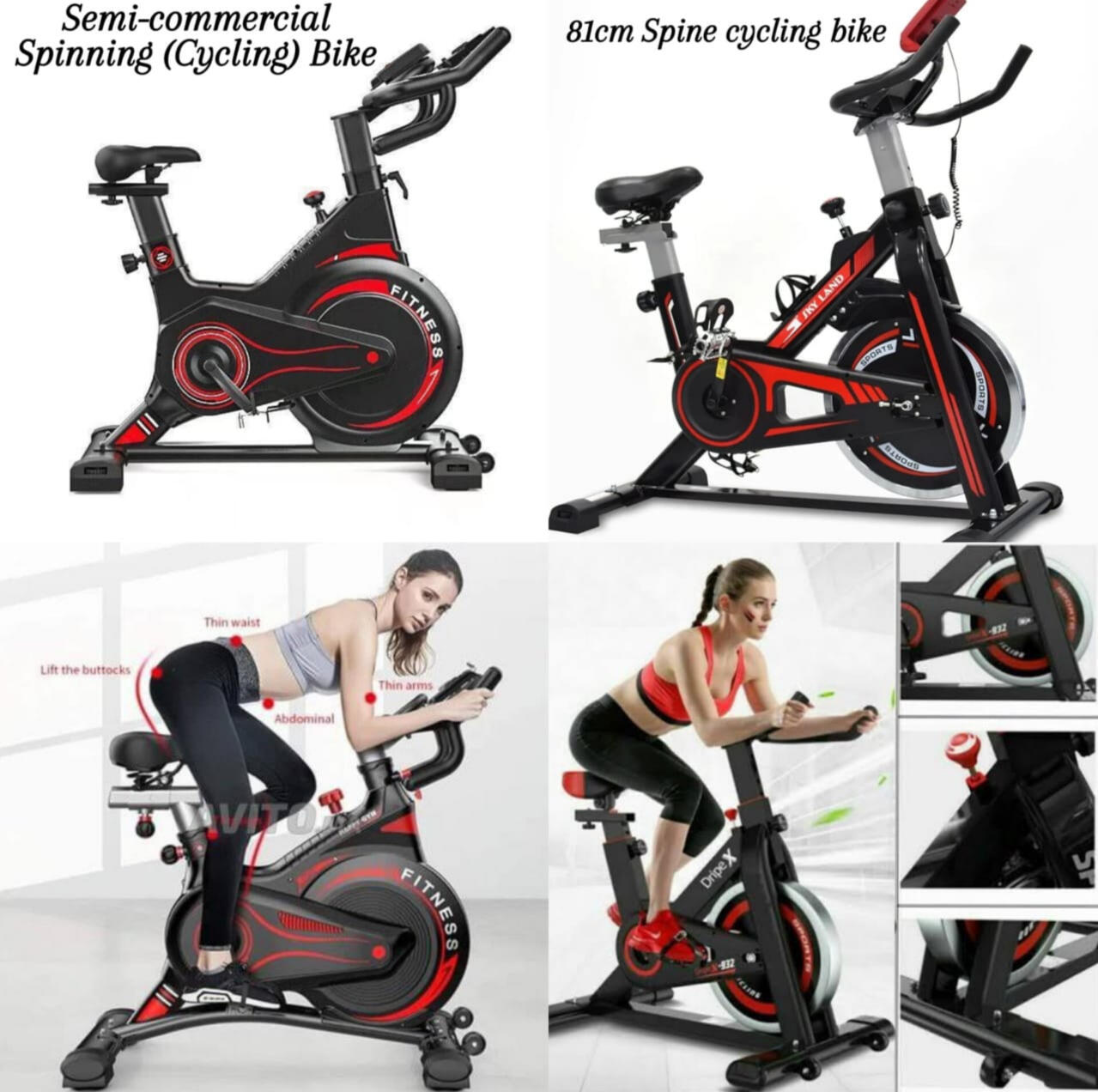 sport & gym gallery