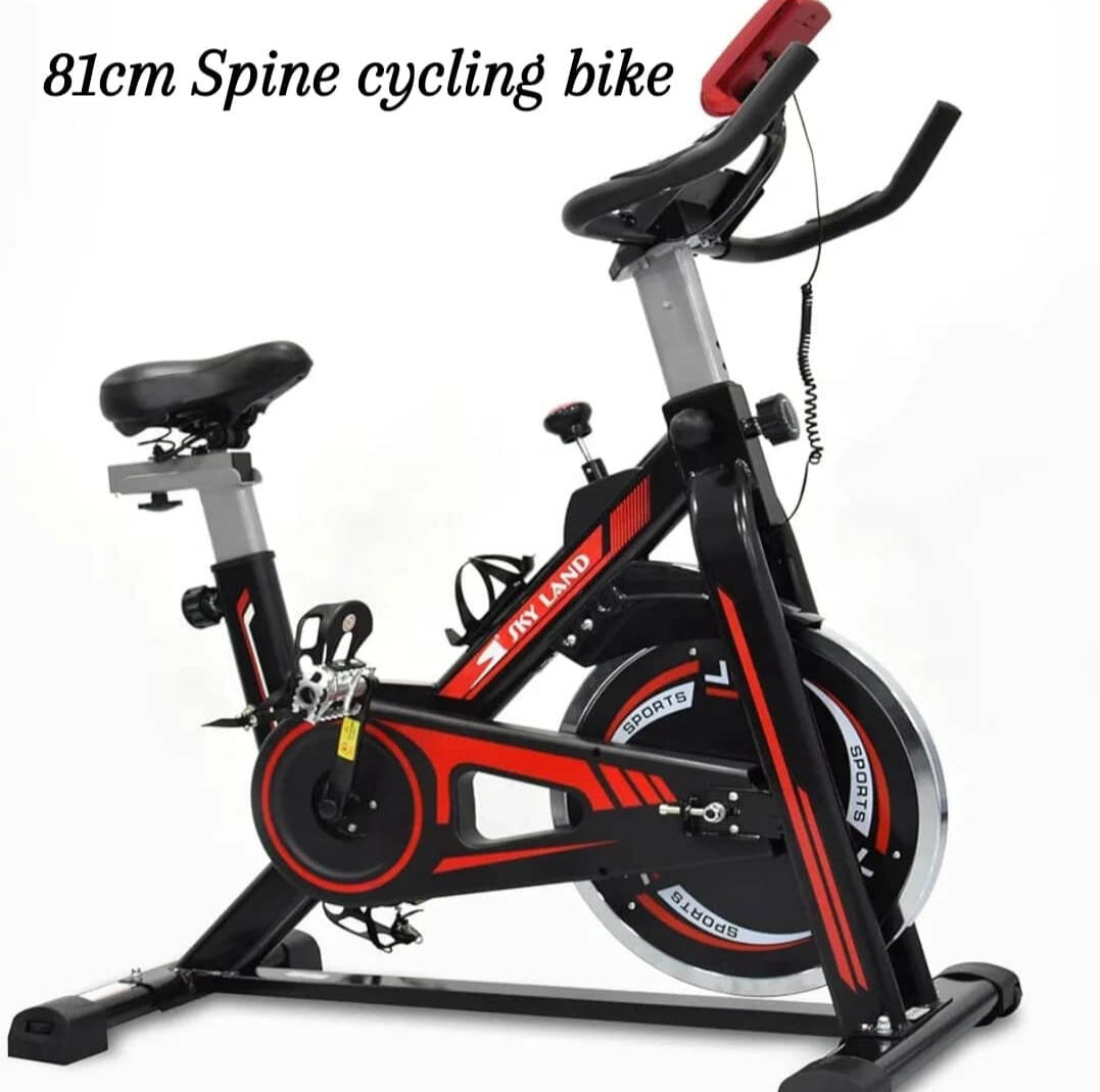 sport & gym gallery